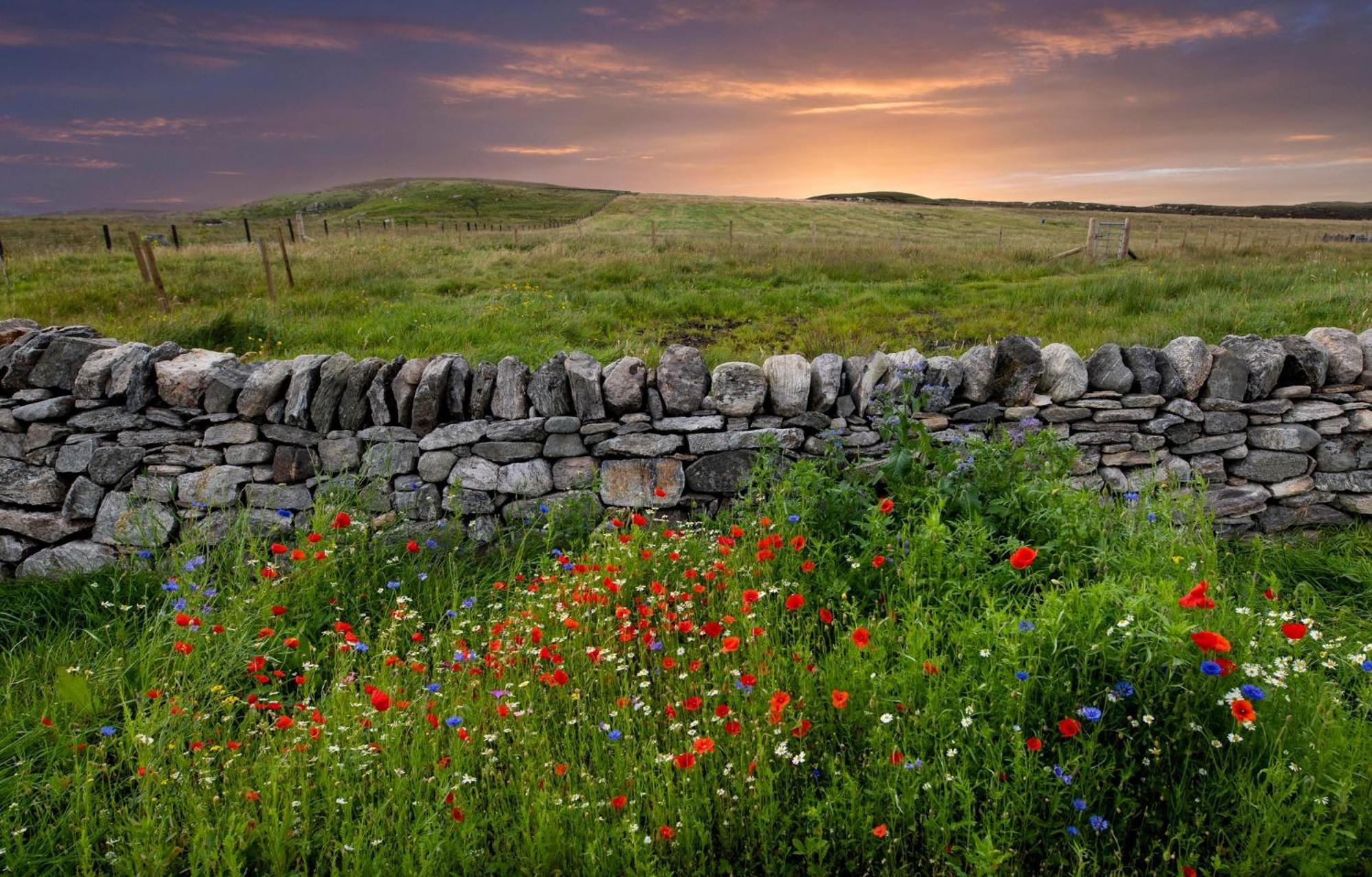 21 Callanish Luxury Pod Exterior photo